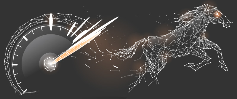 Website Hosting