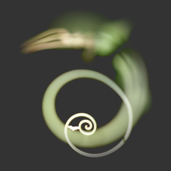Personal Website Development & Coaching